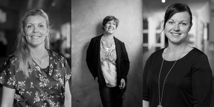 Ur nyhetsflödet vecka 37