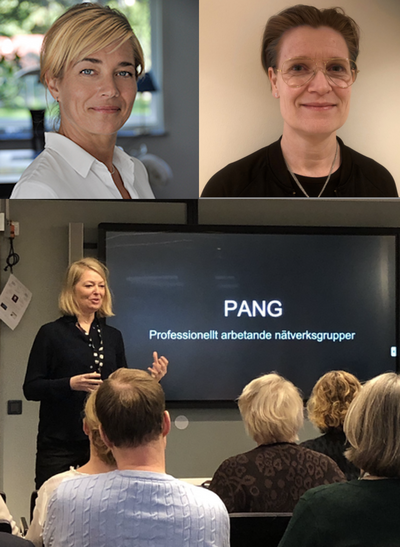 Beprövade ramverk kan underlätta digital skolutveckling